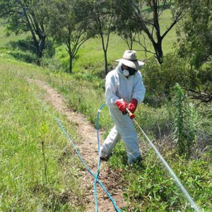 Weed Management Service