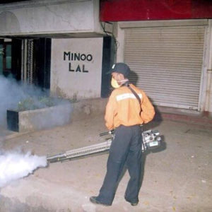 Mosquito Management Services