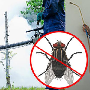 FLY CONTROL
