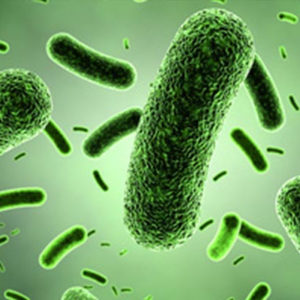 INFECTION PREVENTION TREATMENT