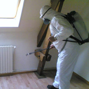 Integrated Disinfection Treatment